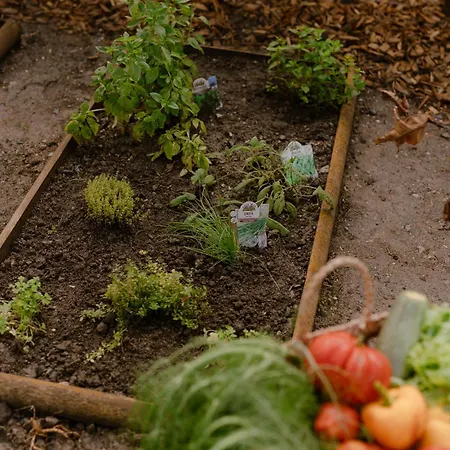 Casa Margherita & Benessere Maison d'hôtes Roccaforte Mondovì